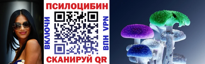 даркнет сайт  Отрадный  OMG ONION  Псилоцибиновые грибы Psilocybine cubensis 